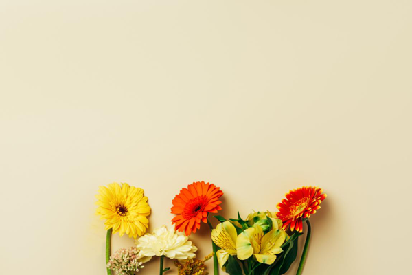 眼表眼角膜,希瑪瑞視眼科,上海眼科醫(yī)院 眼表眼角膜,希瑪瑞視眼科,上海眼科醫(yī)院