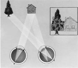 小兒眼病,希瑪瑞視眼科,上海眼科醫院 小兒眼病,希瑪瑞視眼科,上海眼科醫院