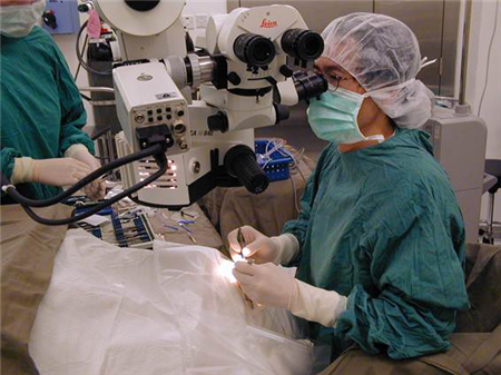 玻璃體視網(wǎng)膜,?，斎鹨曆劭?上海眼科醫(yī)院