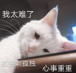 白內障,希瑪瑞視眼科,上海眼科醫院 白內障,希瑪瑞視眼科,上海眼科醫院