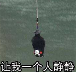 玻璃體視網膜,希瑪瑞視眼科,上海眼科醫院