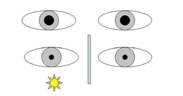 玻璃體視網膜,希瑪瑞視眼科,上海眼科醫院 玻璃體視網膜,希瑪瑞視眼科,上海眼科醫院