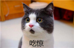 青光眼,希瑪瑞視眼科,上海眼科醫(yī)院