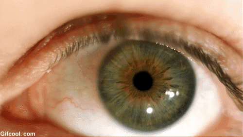 眼表眼角膜,希瑪瑞視眼科,上海眼科醫(yī)院 眼表眼角膜,希瑪瑞視眼科,上海眼科醫(yī)院