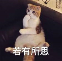 玻璃體視網膜,希瑪瑞視眼科,上海眼科醫院