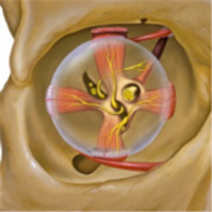 小兒眼病,希瑪瑞視眼科,上海眼科醫院