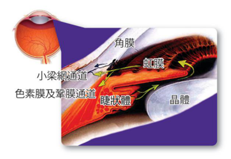 青光眼,?，斎鹨曆劭?上海眼科醫(yī)院