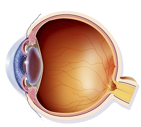 青光眼,希瑪瑞視眼科,上海眼科醫(yī)院 青光眼,希瑪瑞視眼科,上海眼科醫(yī)院