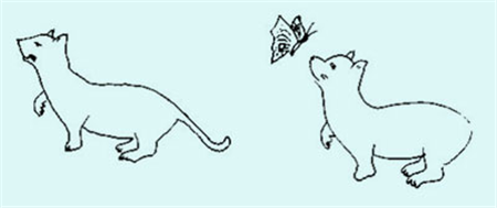 小兒眼病,希瑪瑞視眼科,上海眼科醫院