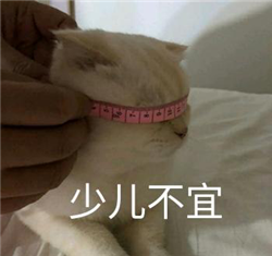 眼表眼角膜,希瑪瑞視眼科,上海眼科醫院 眼表眼角膜,希瑪瑞視眼科,上海眼科醫院