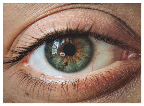 玻璃體視網膜,希瑪瑞視眼科,上海眼科醫院 玻璃體視網膜,希瑪瑞視眼科,上海眼科醫院